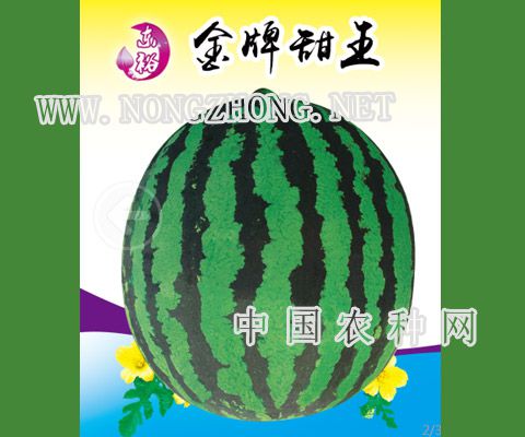 金牌甜王